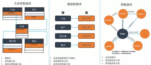 數字化轉型浪潮下，TigerGraph圖技術能否成為數字技術服務新寵兒？